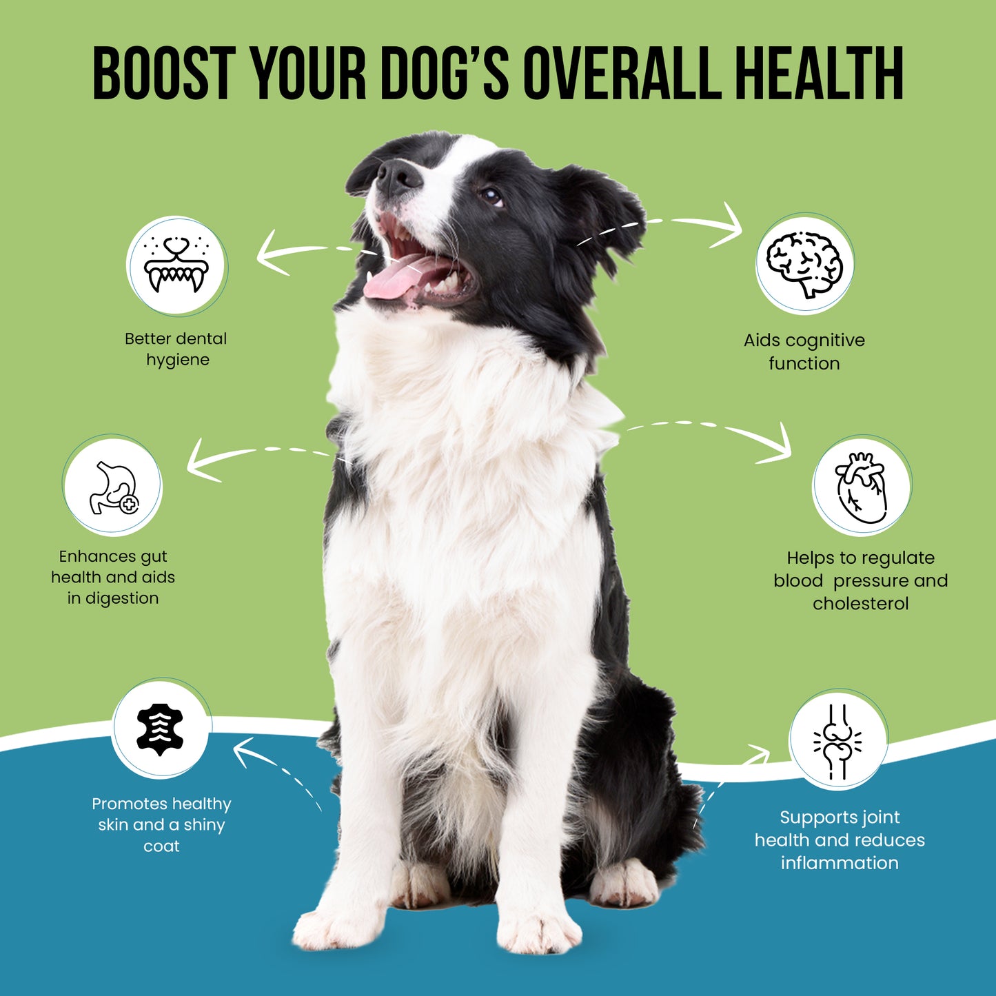 Caniclean Seaweed For Dogs Teeth