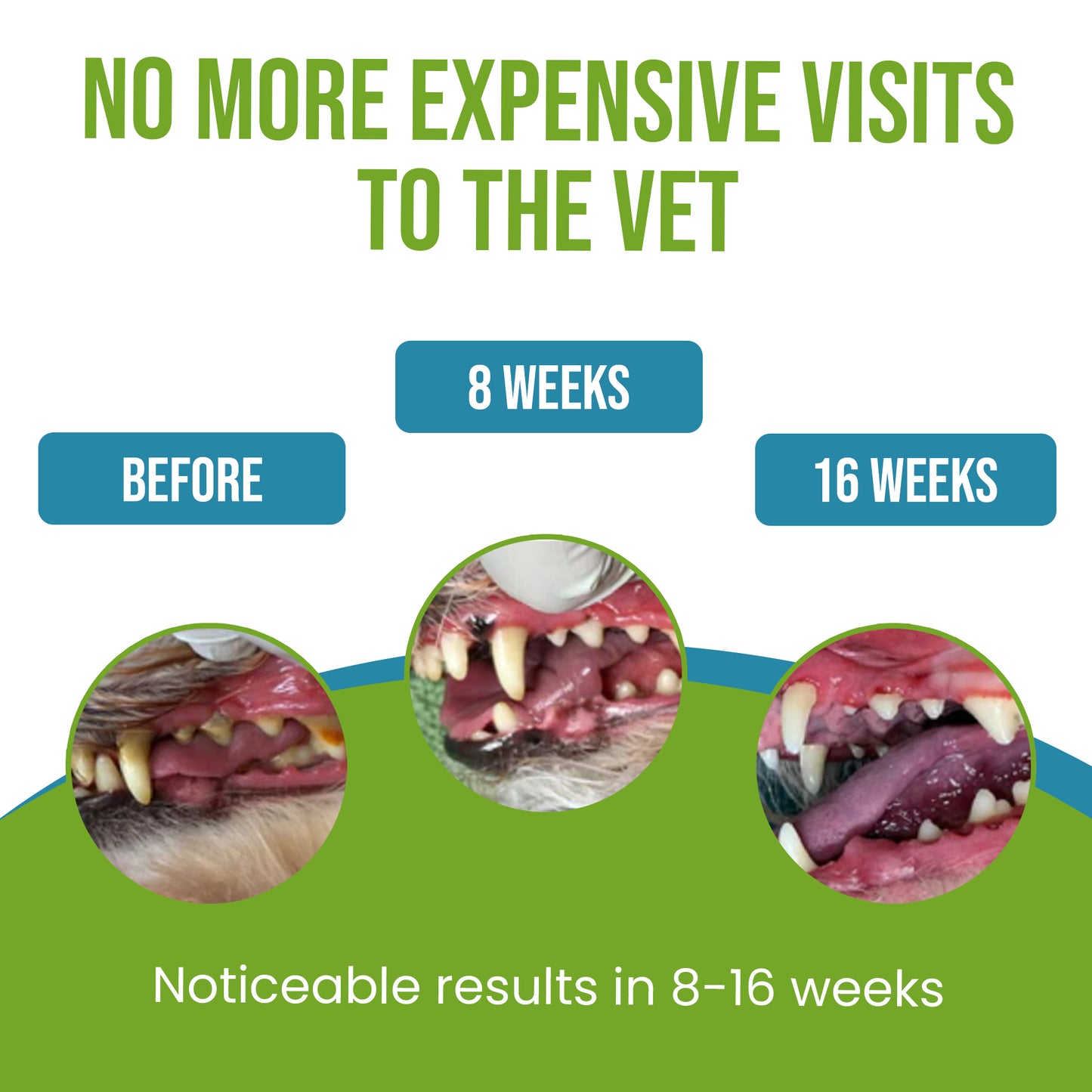 Caniclean Seaweed For Dogs Teeth