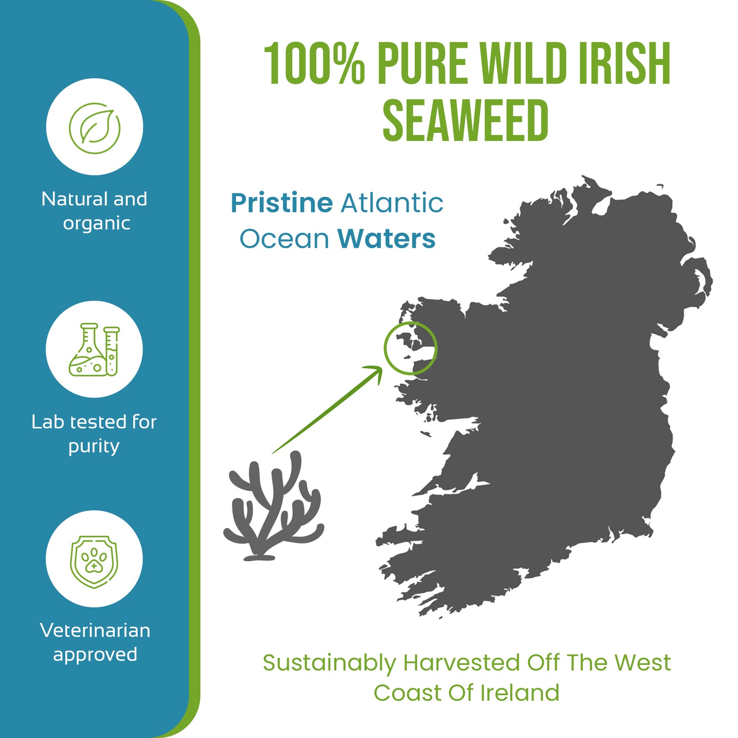 Caniclean Seaweed For Dogs Teeth