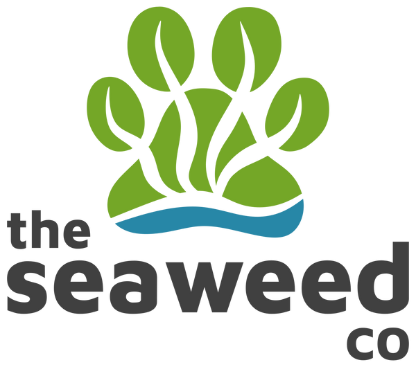 The Seaweed Co