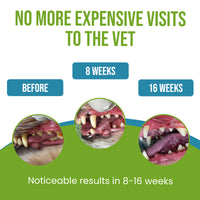 Caniclean For Dogs Teeth