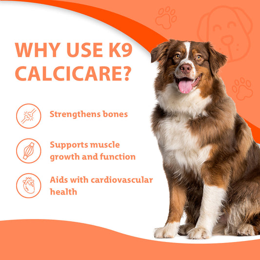 K9 Calcicare